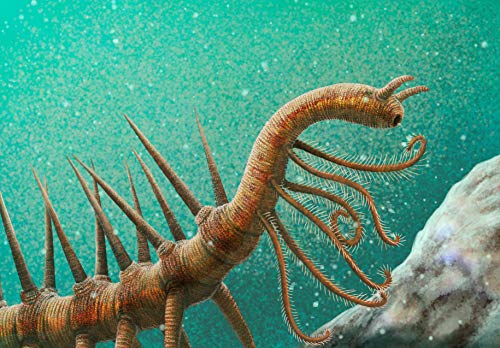 Hallucigenia: 1