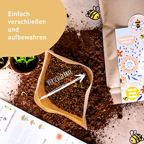 Blumensamen I 500g I 500m² Blumenwiese Samen mehrjährig und einjährig I Samen für Bienen Blumenmischung I… – Bild 6