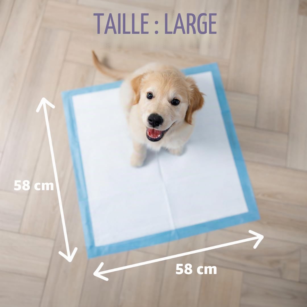 Lot de 250 Tapis Éducateurs pour Chien Chiot , Tapis Hygiénique , Absorbant Inférieure Imperméable, Anti-Fuite 58 x 58 cm