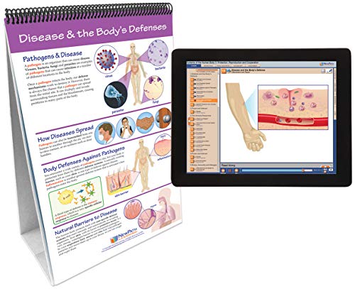 Image of NewPath Maintaining the Human Body Flip Chart with Online Multimedia Lesson