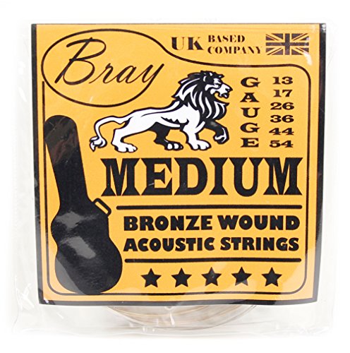 Bray Medium Bronze Wound Acoustic Guitar Strings (13-54) Perfect For Martin Smith W-100, Falcon FG100N Dreadnought, Yamaha F310 & F370 Acoustic Guitars