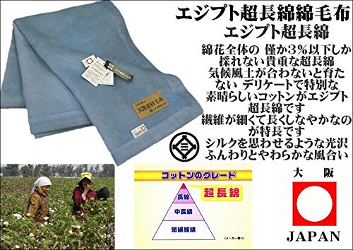 Amazon｜三井毛織 日本製 究極 の 超長綿 綿毛布 エジプト 超長綿綿