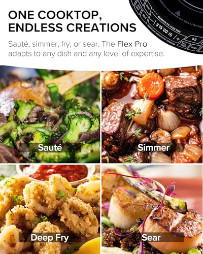 Portable Induction Cooktop Single Burner