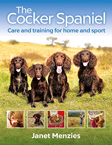 cocker spaniel house training