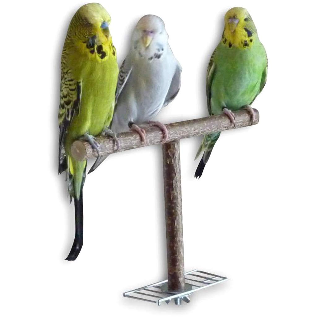 DIIOOMIEEU Bird Perch Wooden Stand Natural Wood Stick Standing Climbing Paw Grinding Toy for Birds Cage Accessories for T Shape