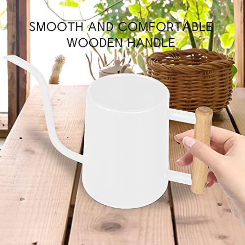 Image of Watering Can Indoor Plants, 35 oz /1000 ml Metal Stainless Steel Watering Can Pot with Long Spout for Indoor House Plants Bonsai Outdoor Garden Flower Decorative (White)