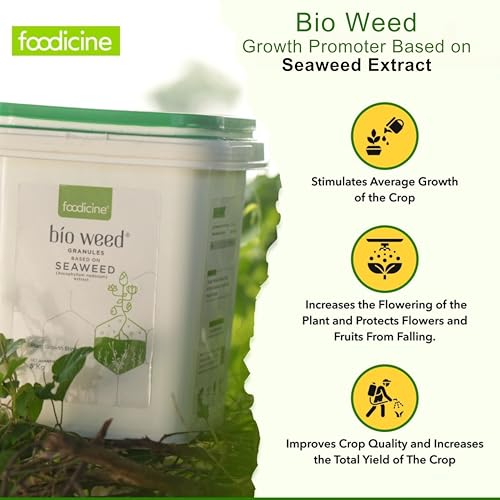 Image of Bio Weed 10 KG - Seaweed Extract Granules Premium Plant Fertilizer and Growth Promoter for All Types of Plants