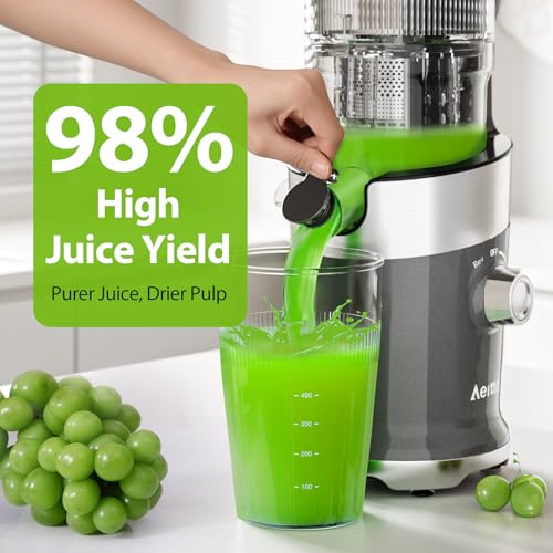 Automatic Cold Press Juicer Machine