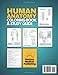 Human Anatomy Coloring Book and Study Guide: 150+ Hyper-Realistic Anatomical Illustrations, 50+ In-depth Anatomy and Physiology Study Guide Pages, and ... Medical, Nursing, and Healthcare Students.