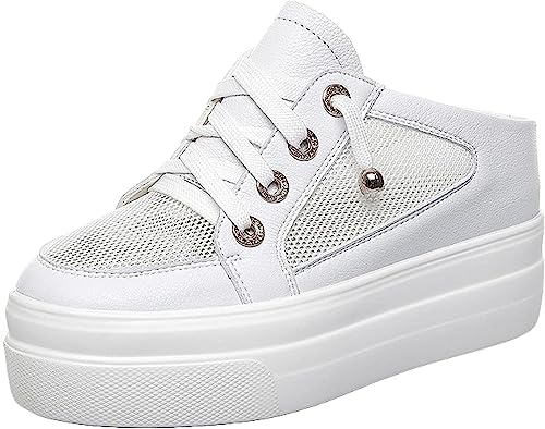 [EBRICON] Xj[J[ fB[X  Xbp [t@[ T_ y ʋC 풅p tbgq[ V[Y ʊw ʋ NbV RtH[g \[ 傫TCY ₷ ƖV[ Y 21.5 cm