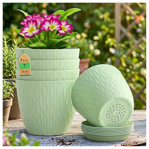 Image of Eightiz (Pack of 5 6 Inch Plastic Flower Pots for Indoor & Outdoor Terrace,Garden Plants Decorative Planters with Drainage Holes & Matching Saucers Durable & Lightweight (Green)