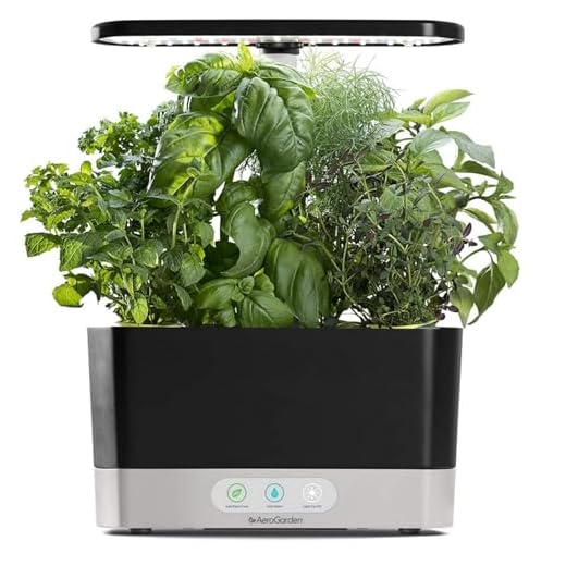 Compact 6‑Pod Hydroponic Countertop Garden