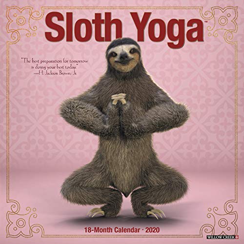 Télécharger Sloth Yoga 2020 Calendar Livre eBook France