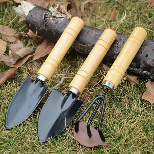 Set 3 Herramientas de Jardinería para Aflojar Tierra miniatura 5