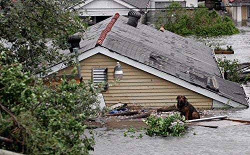 Mayday Emergency Water Pounches Case Of 100. Emergency Preparedness, Survival And Backpacking #TOP5