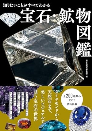 Amazon.co.jp: 宝石商のメイド 1 (MFC) eBook : やませ ちか