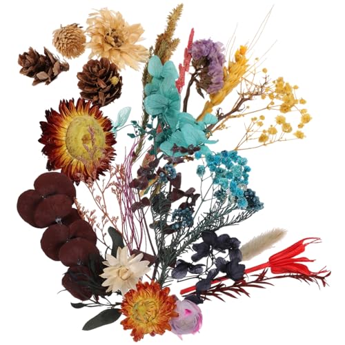 Mezcla de Mini Flores Secas para Manualidades 2 Cajas miniatura 1