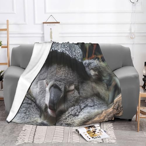 Couverture en microfibre Koala | Plaid double de qualité supérieure - 3