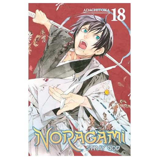 Noragami: Stray God 18