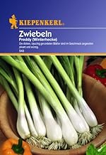 Onion 'Freddy' (Winter Garden)