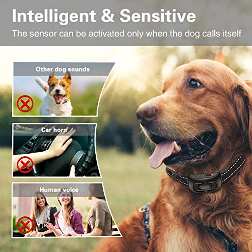CLEEB-BOUG Dog Bark Collar, No Bark Training Rechargeable Anti Barking Collar with 9 Adjustable Sensitivity and… - Image 5