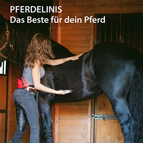 Gummistriegel für Fellpflege, Reinigung und Massage – Bürste, Striegel mit Gummilasche ideal für Pferde, Hunde, Katzen für Gesundheit und Wohlbefinden (1x Erwachsene)
