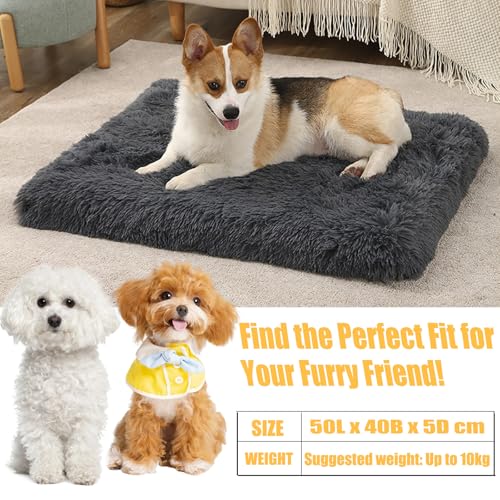 LuckyZoo77 Hundebett, Flauschige Hundematten, 50x40cm hundekissen waschbar mit weicher Polsterung, rutschfest, für kleine Hunde & Katzen, Dunkelgrau