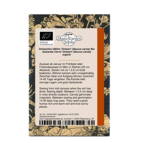 Zanahoria Guerande 'Oxheart' (Daucus carota) orgánica - aprox. 500 semillas