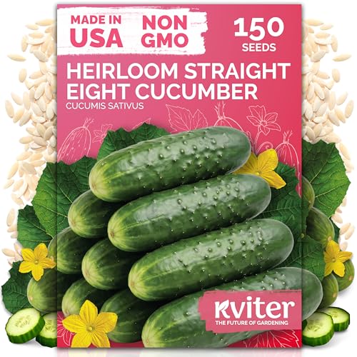 KVITER 150 Straight Eight Cucumber Seeds (Cucumis sativus) - Straight 8 Cucumber Perfect Cucumbers for Pickling and Slicing - Vegetable Seeds for Planting Outdoors in Home Garden & Containers