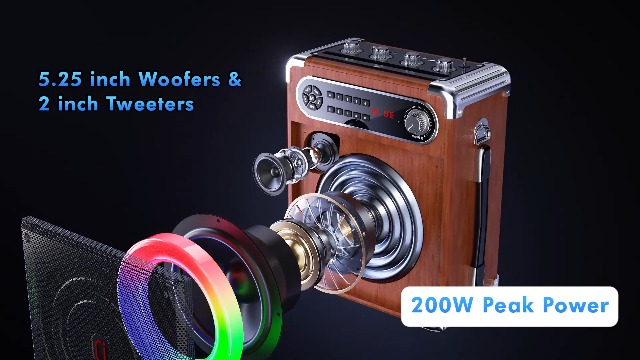 JYX Karaoke Machine with Two Wireless Microphones, Portable