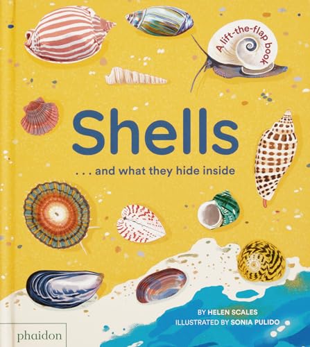 Shells... and what they hide inside: A Lift-the-Flap Adventure - //medicalbooks.filipinodoctors.org