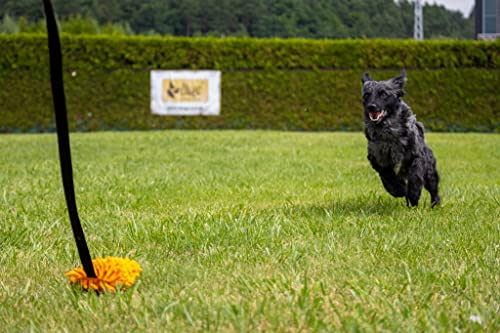 Dingo Mop auf länge Band 130 cm Agility Apporte Motivation Spiel mit Hund Zerrspielzeuge Training perfekt Farbmix 15577