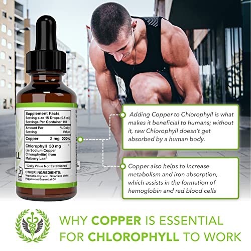 Benevolent Nourishment CHL01 Benevolent Chlorophyll Liquid Drops, 4 Month Supply Liquid Chlorophyll Supplement thumb #4