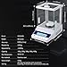 RUISHAN 300g x 1mg Lab Analytical Balance Scale | 0.001g High Accuracy Electronic Scientific Scale Jewelry Gold Scale .001 Digital Gram Weighs Scale Centigram Scale, Calibrated Scale, Chemistry Scale