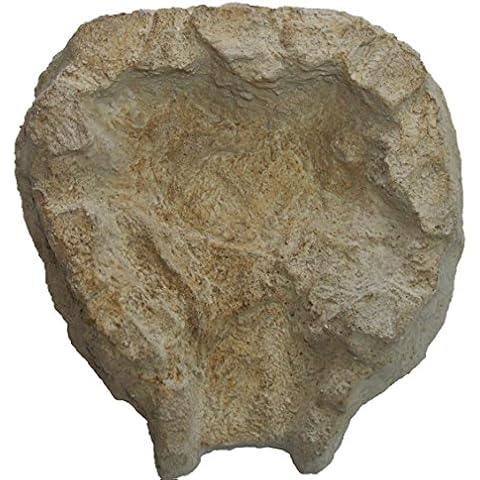 Extension Cascade Fulda - Wasserkaskaden Cover