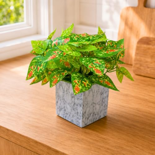 Image of fancymart Artificial Plant with Real-Touch Leaves in Pot, 25 cm, Indoor Tabletop Item for Home Decor, Office, Living Room