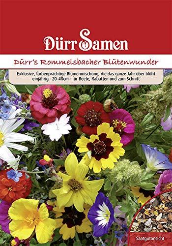 Dürr Samen 4312-DS Rommelsbacher Blütenwunder 150-200 m² (Blumenwiese)