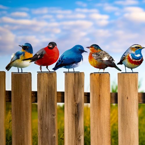 Otoolling 5pcs Vivid Metal Birds Fence Decor Painted Outdoor Garden Bird 2D Sculptures Art Outdoor Sculptures Metal Statues for Yard Fences Outside Lawn Patio Balcony Patio Bird Lovers