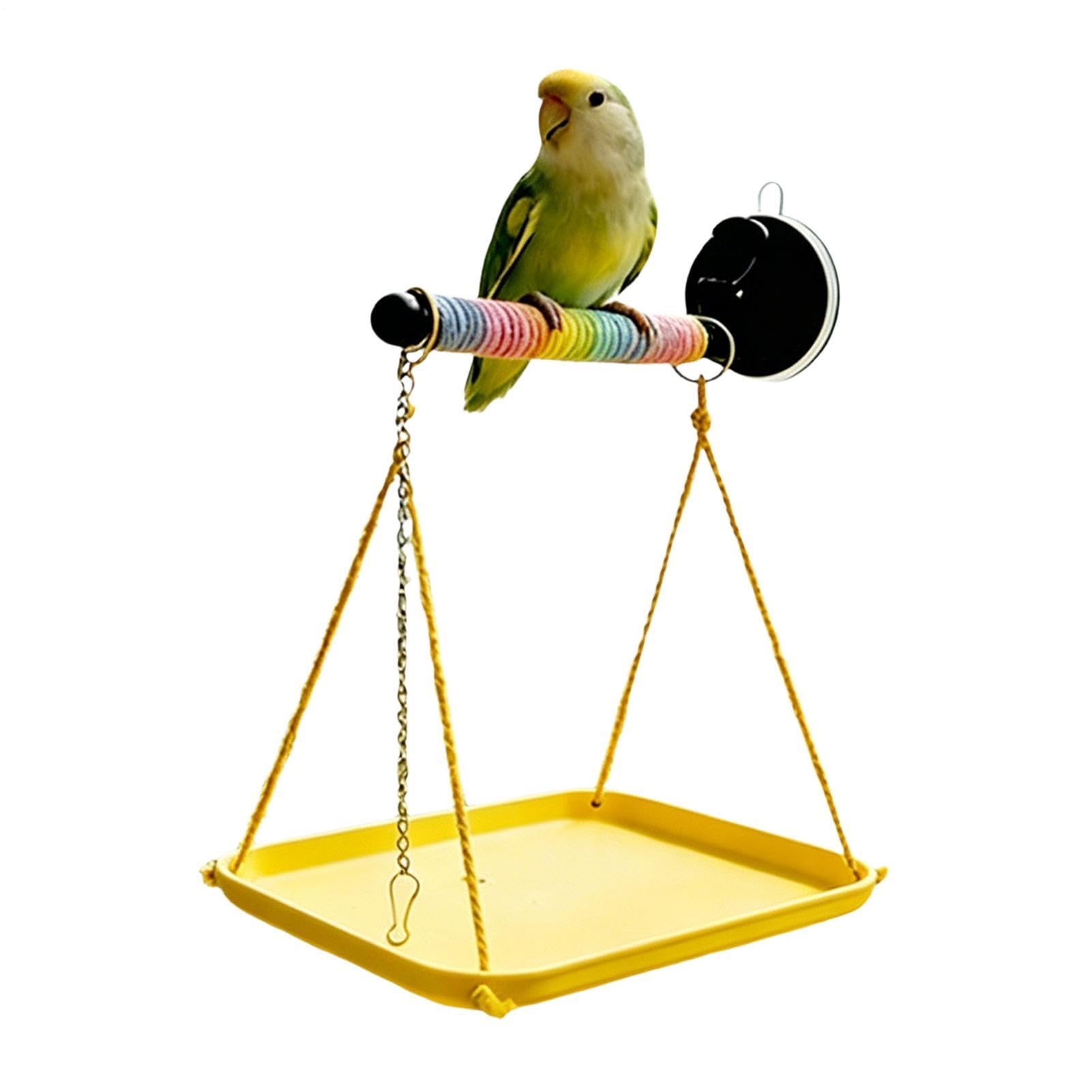 Jouet interactif d'escalade oiseaux et support de siège pour perruche conure