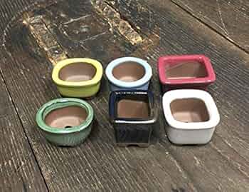 山房.文山.前.いろいろな鉢集合しました。[6] 51iQJRUGxaL._UF350,350_QL50_.jpg