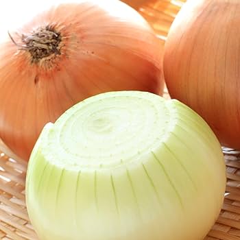 Amazon.co.jp: 北海道産 玉ねぎ 札幌黄 10kg (JA共撰/SM-Lサイズ