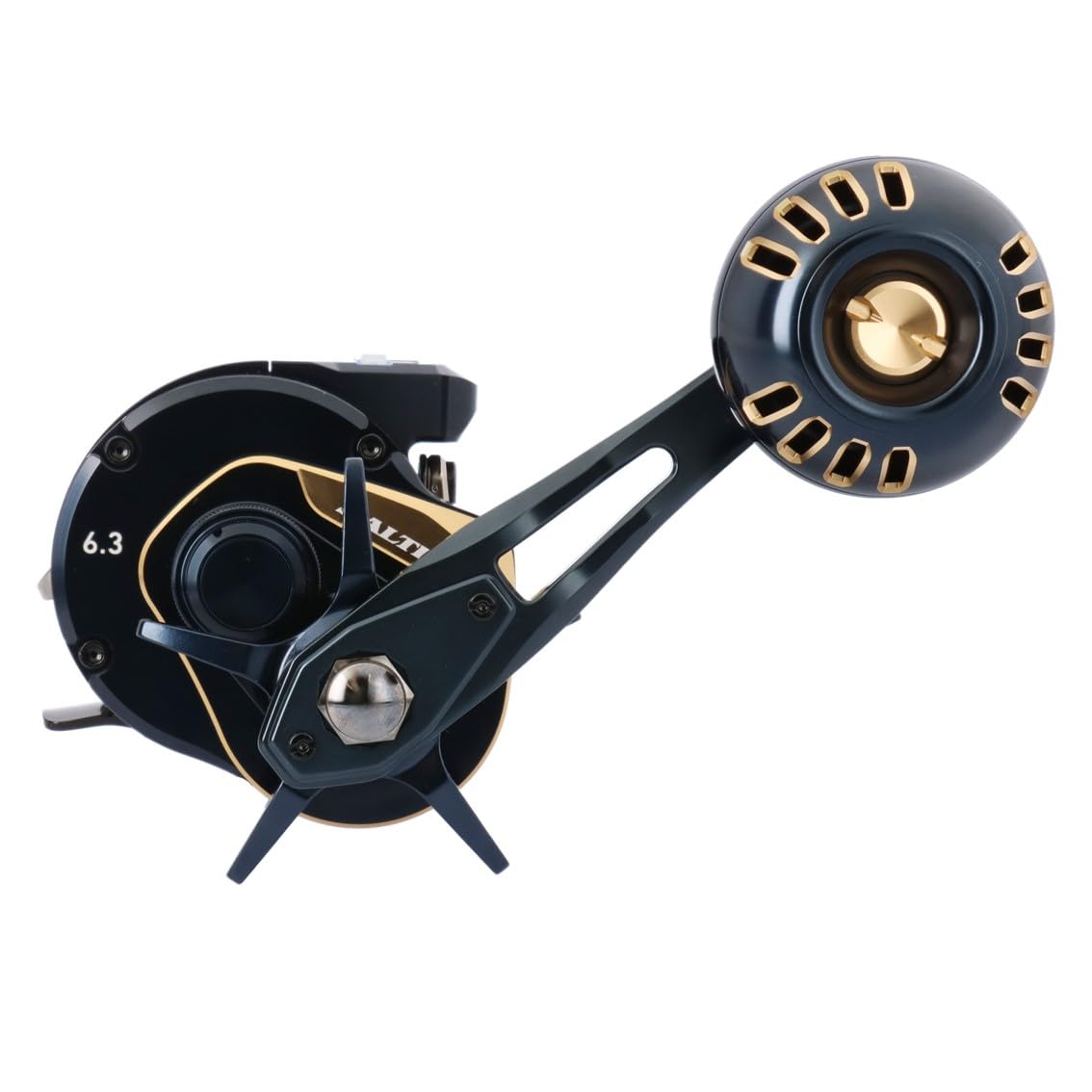 Amazon | ダイワ(DAIWA) ソルトコネクテッドリール 25SALTIGA IC 300-C