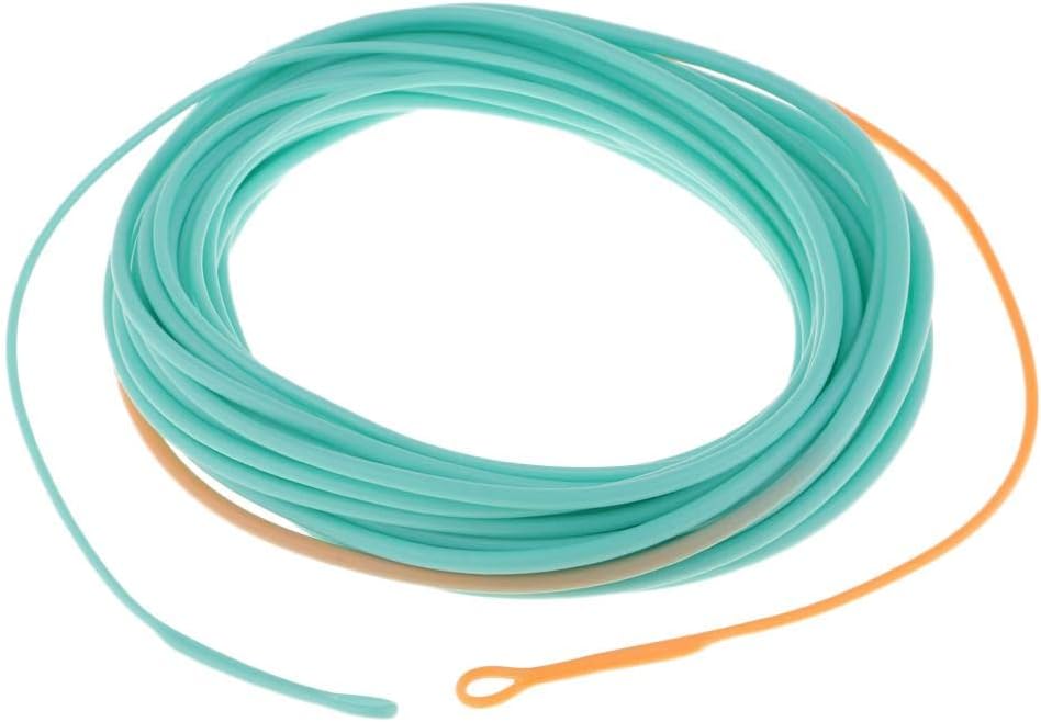 Skagit Head Floating Fly Fishing Line for Long Casting & Fast Action - Powerful Front End, Low Stretch Core, Blue/Orange Color - for Fast Flowing Water, Perfect for Experienced - 25FT 650gr