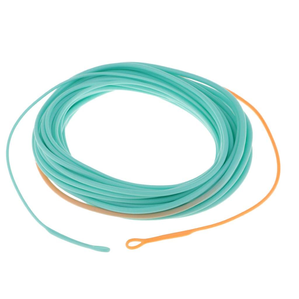 Skagit Head Floating Fly Fishing Line for Long Casting & Fast Action - Powerful Front End, Low Stretch Core, Blue/Orange Color - for Fast Flowing Water, Perfect for Experienced - 25FT 650gr