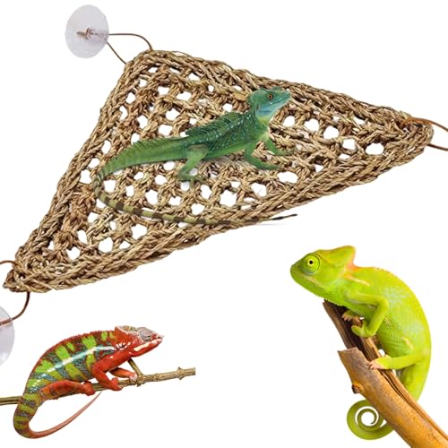 Hamaca para Reptiles Hamaca con dragón Barbudo y Cuerda de Pasto Marino con ventosas Fuertes Lagarto para Escalar rept