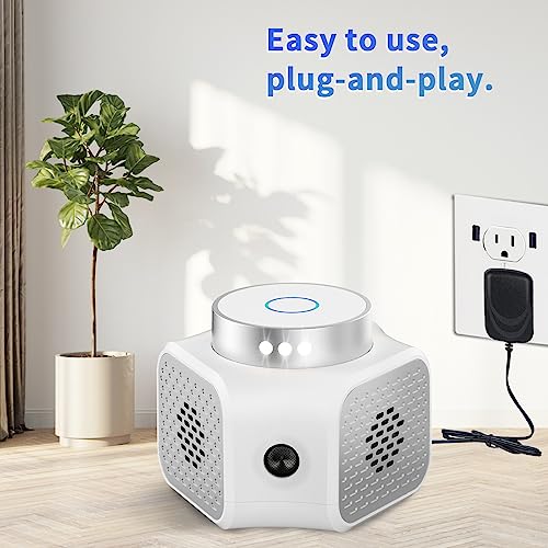 Control De Plagas, Home Improvement Imagen adicional