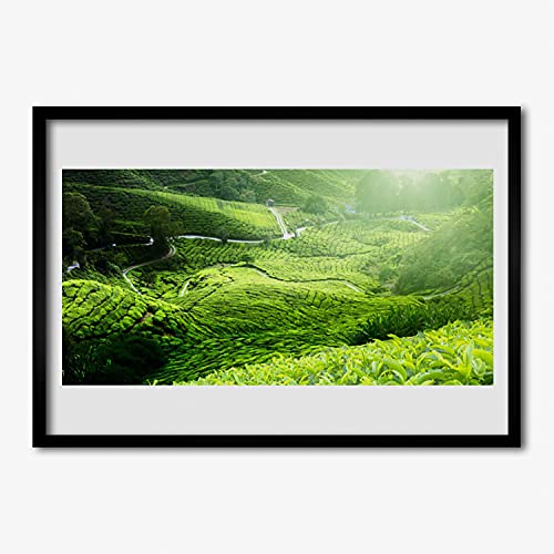 Affiche encadrée 100x70 cm pour transformer un mur vide en un paysage de nature relaxant