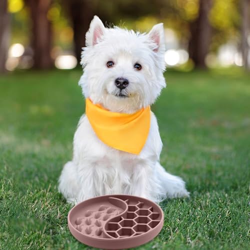 Cuencos pequeños para perros para comer lentamente en el hogar moderno 8