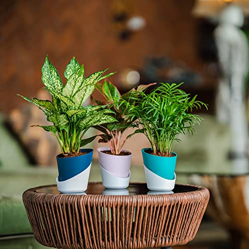 Image of Harshdeep Self Watering Planter - Atlantis - Indoor Outdoor Home Livingroom Patio Tabletop Decoration Plastic Planter 4 Inch Set of 5 (Teal)