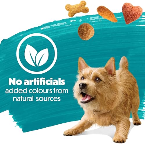 Beneful IncrediBites Dry Dog Food for Small Dogs, Real Beef - 7 kg Bag image 3